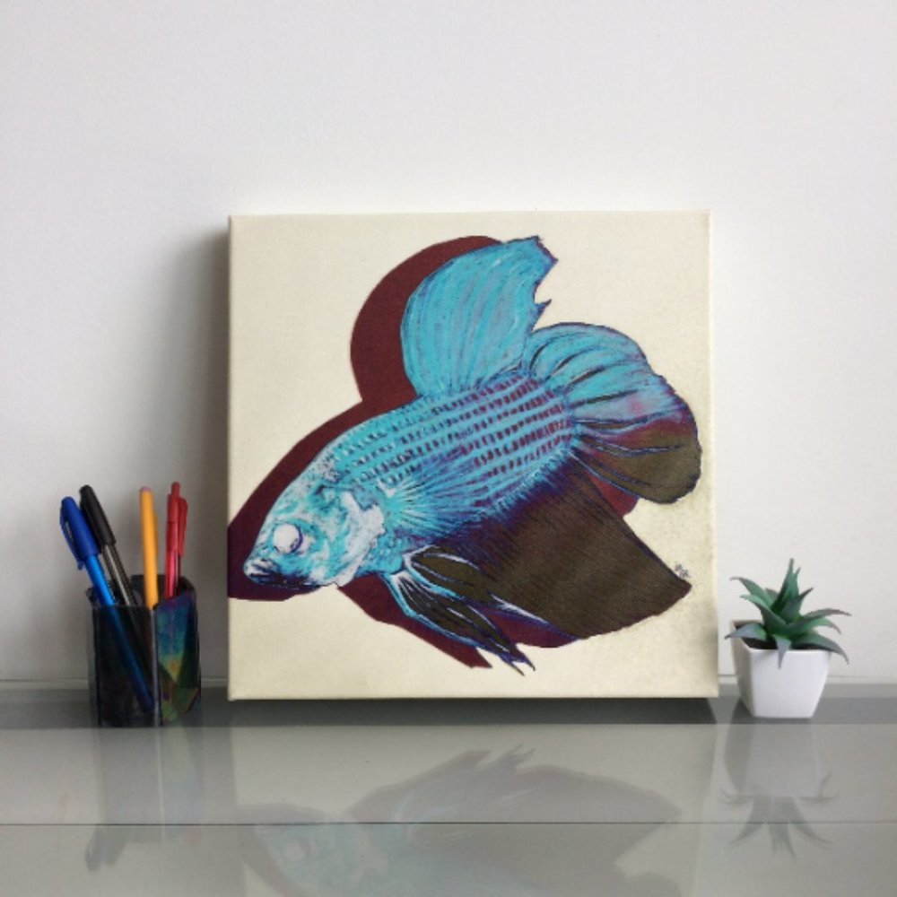 Beta Fish - Original Wall Art print on 12 x 12 canvas - Picture 1 of 6